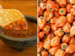 Salsa Habanera