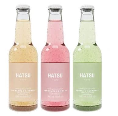 Hatsu 300 ml Sandia y Albahaca