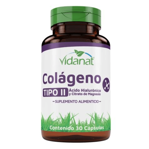 Colageno Tipo II Acido Hialuronico Magnesio 30 Cap
