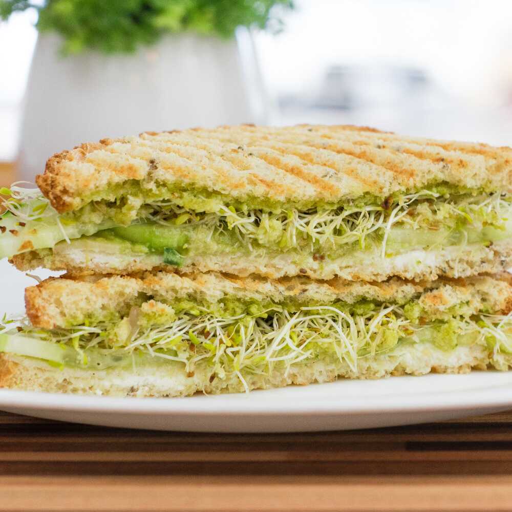 Panini Verde Mío