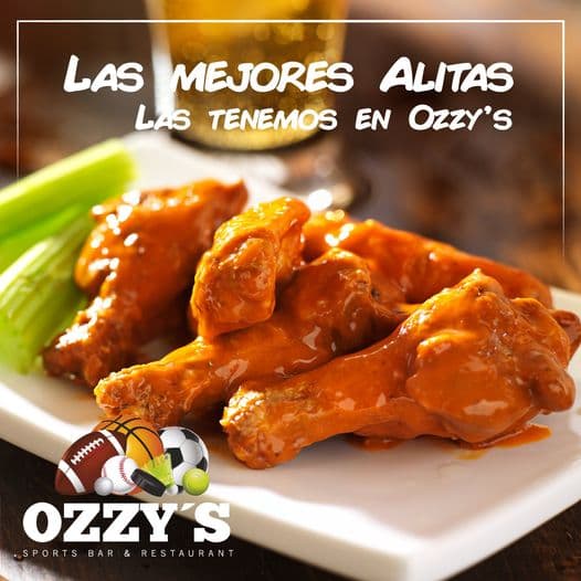Plato de 2 Alitas