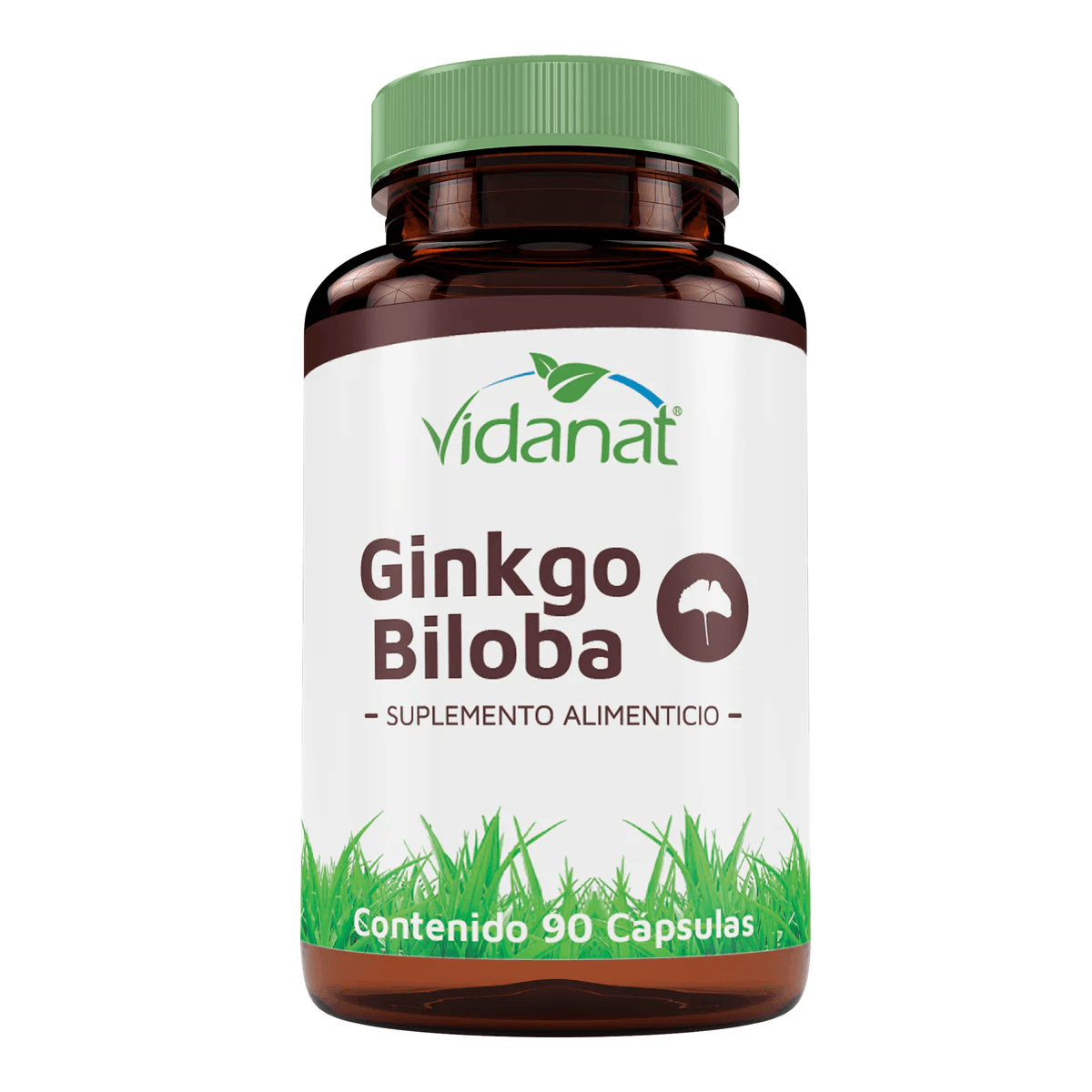GINKGO BILOBA 90 CAP