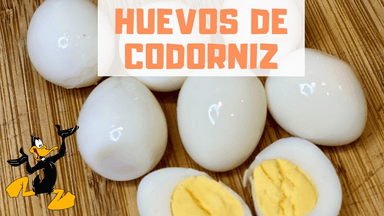 Huevo.