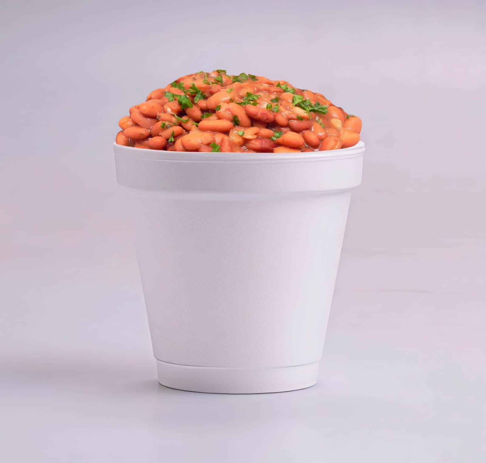 Frijoles Charros 1/4 de lt
