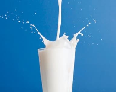 Vaso de Leche