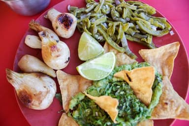 Orden de Nopalitos