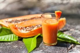 Licuado de Papaya 1L