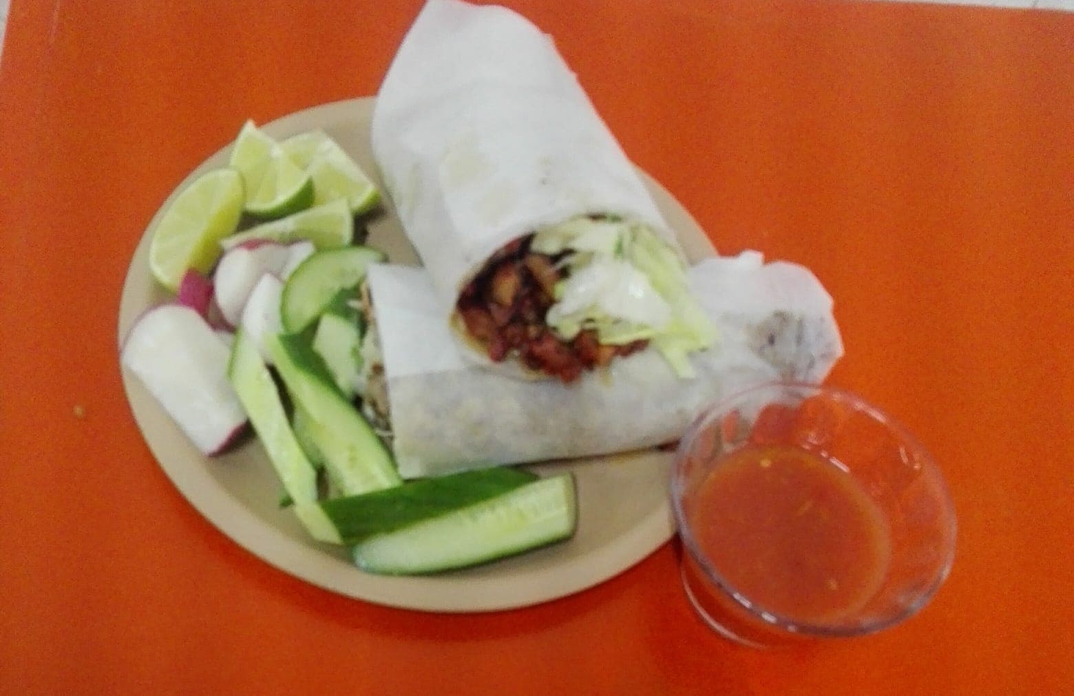Megaburro de Adobada