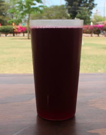 Agua de Jamaica 400ml