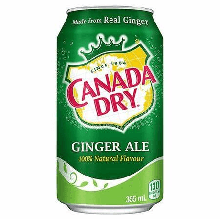 Ginger Ale 355 ml_
