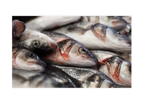 Pescado Entero por Kilo