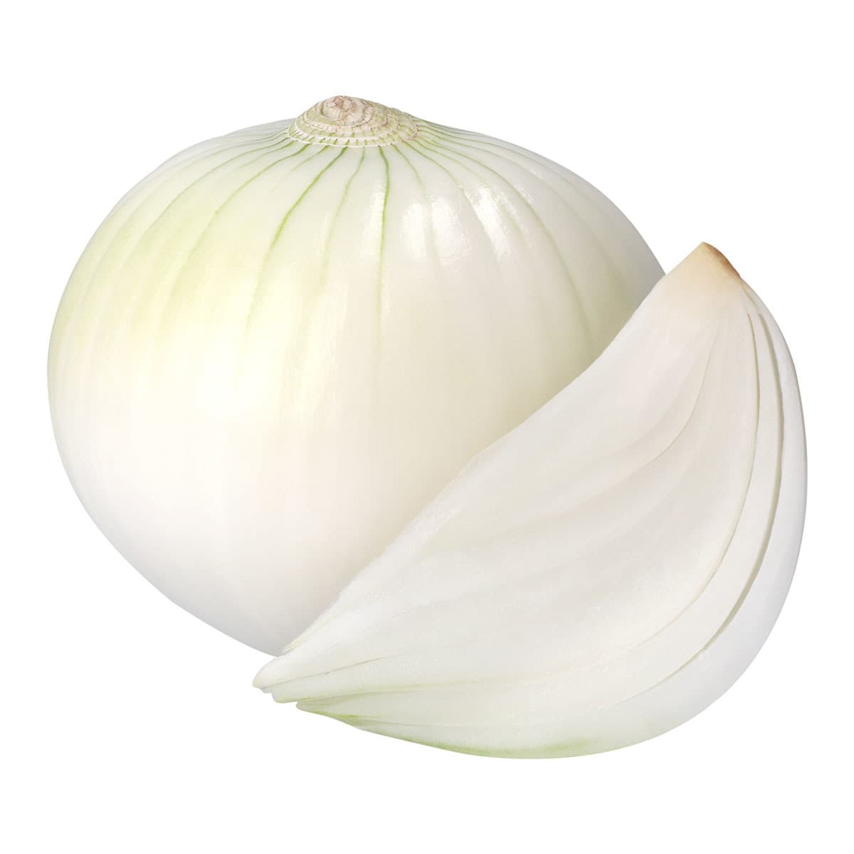 Cebolla Rayada