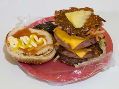 🍔 HAMBURGUESA🍔 ESPECIAL