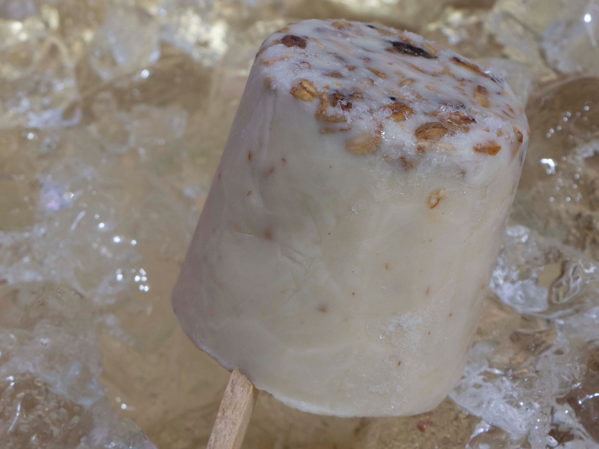 Paleta de Granola
