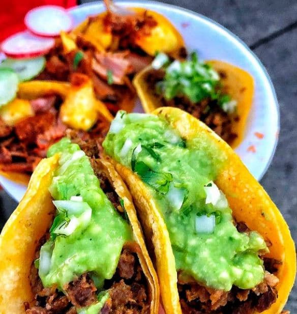 Quesatacos con guacamole 7 piezas