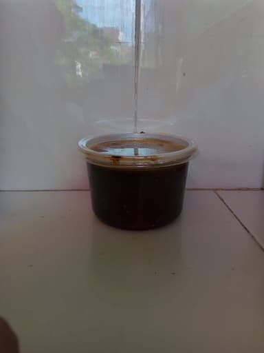 Carne de Puerco en Chile Negro