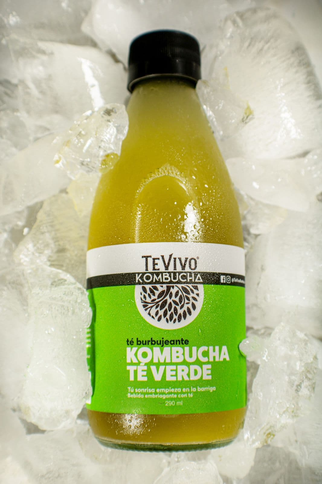 Té Vivo Kombucha Natural