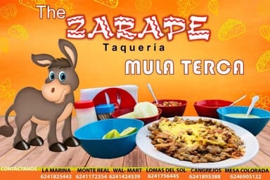 Mula terca