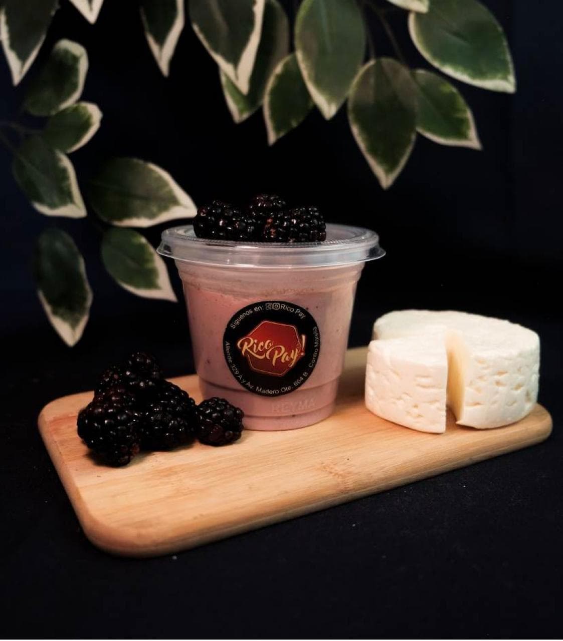 Gelatina de Queso y Zarza