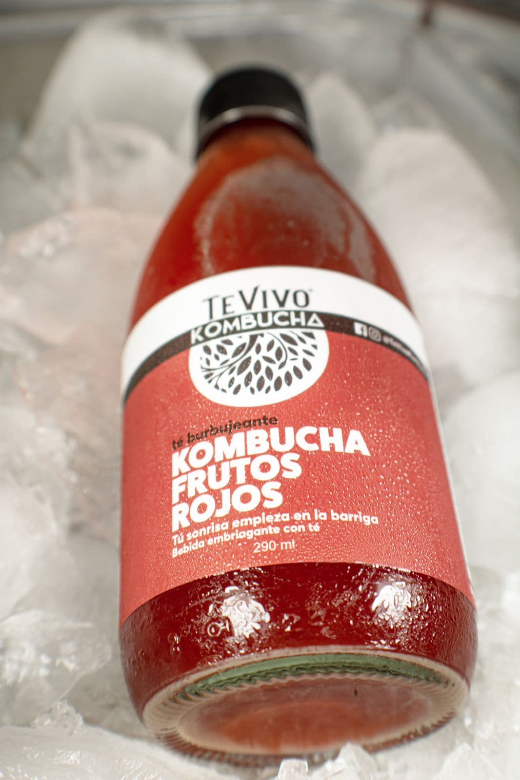 Té Vivo Kombucha Frutos Rojos