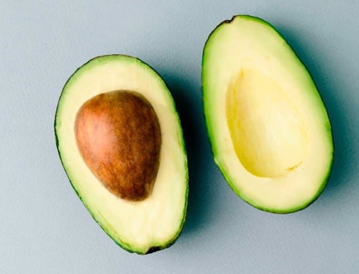 Orden de Aguacate
