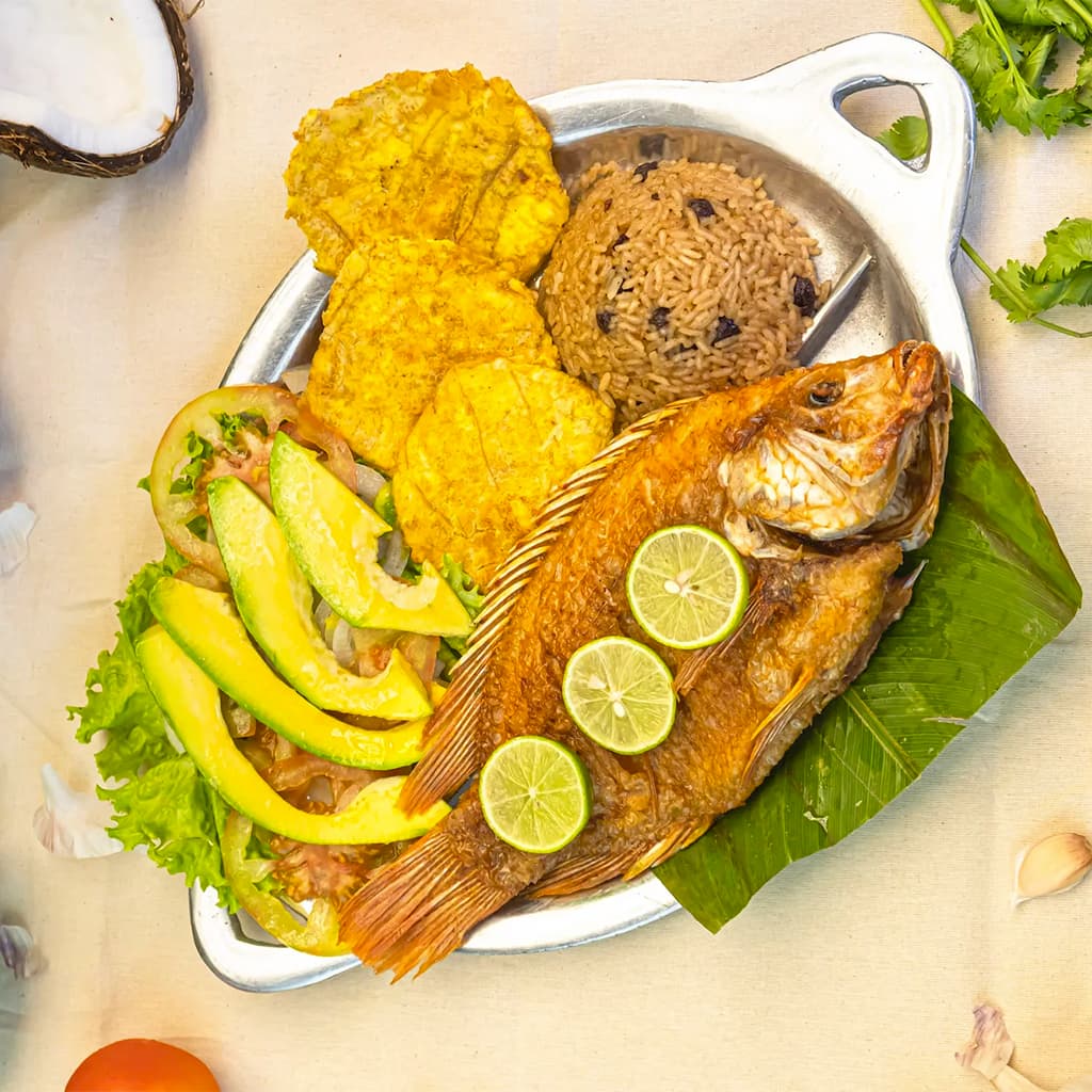 Bandeja Playera
