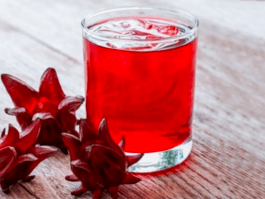 Agua de Jamaica 1l