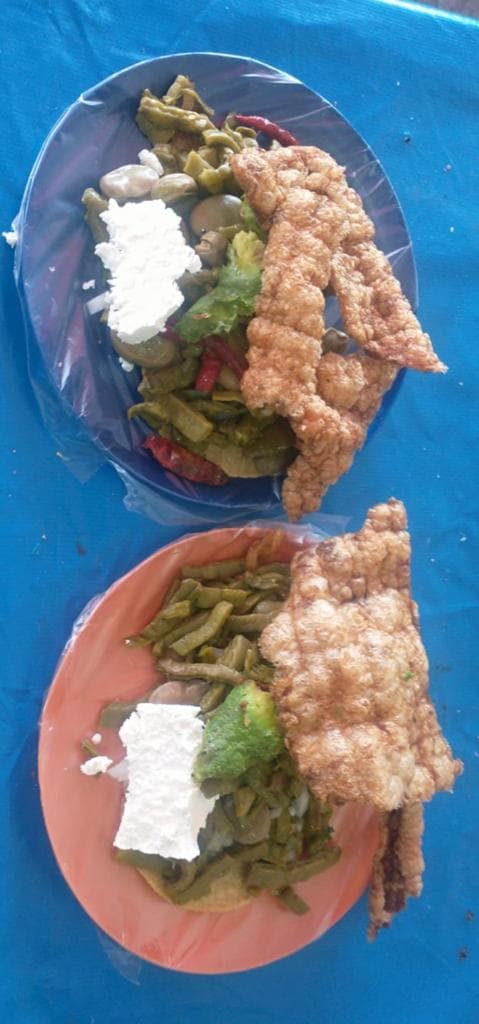 Taco Placero