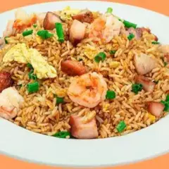 Chaufa Especial con Pollo en Trozo