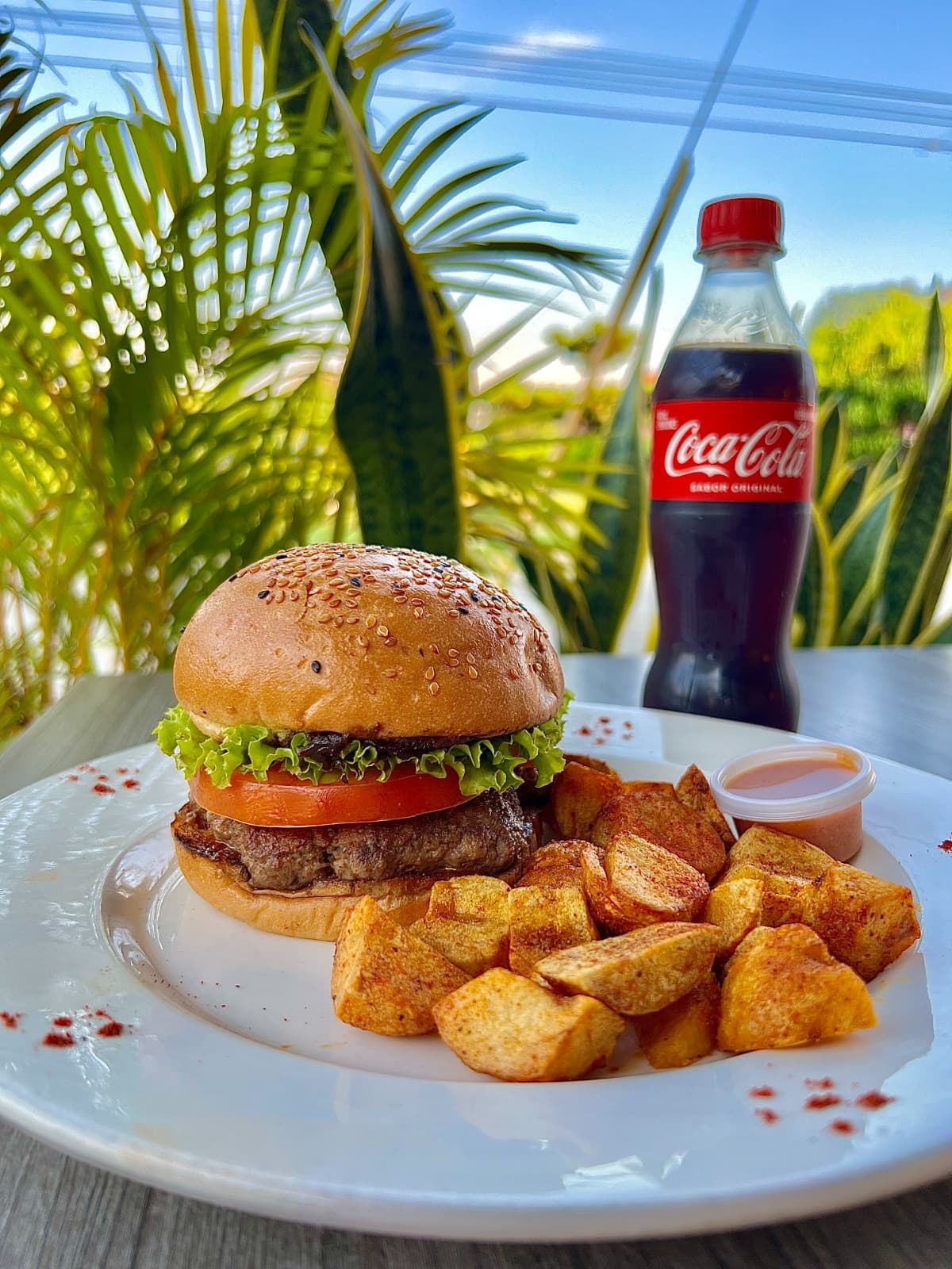 Combo Hamburgo