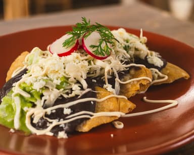 Quesadillas Fritas de Tinga de Pollo