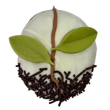 Hojas Chocolate Blanco