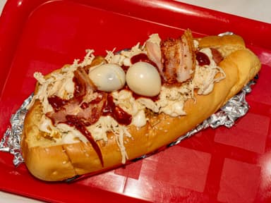 Perro Mixto