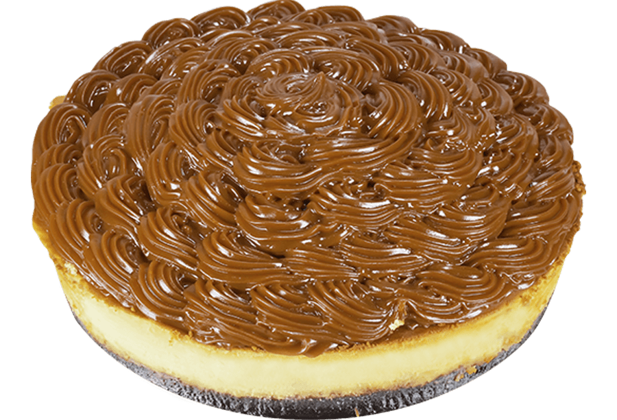 Cheesecake Tortuga
