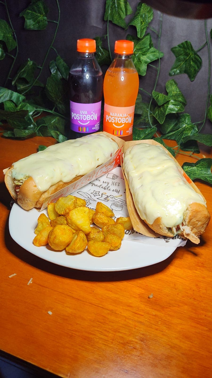 2 perros +1 porcion de papas + 1 econo litro