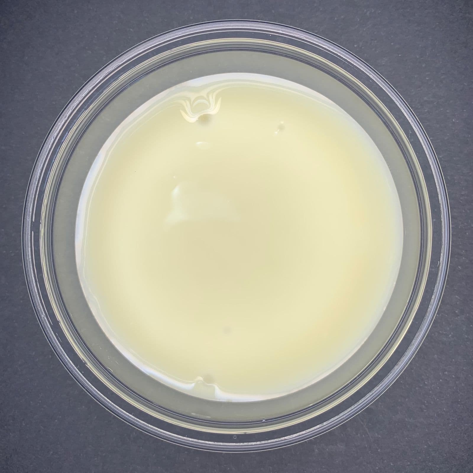 Extra de Leche Condensada
