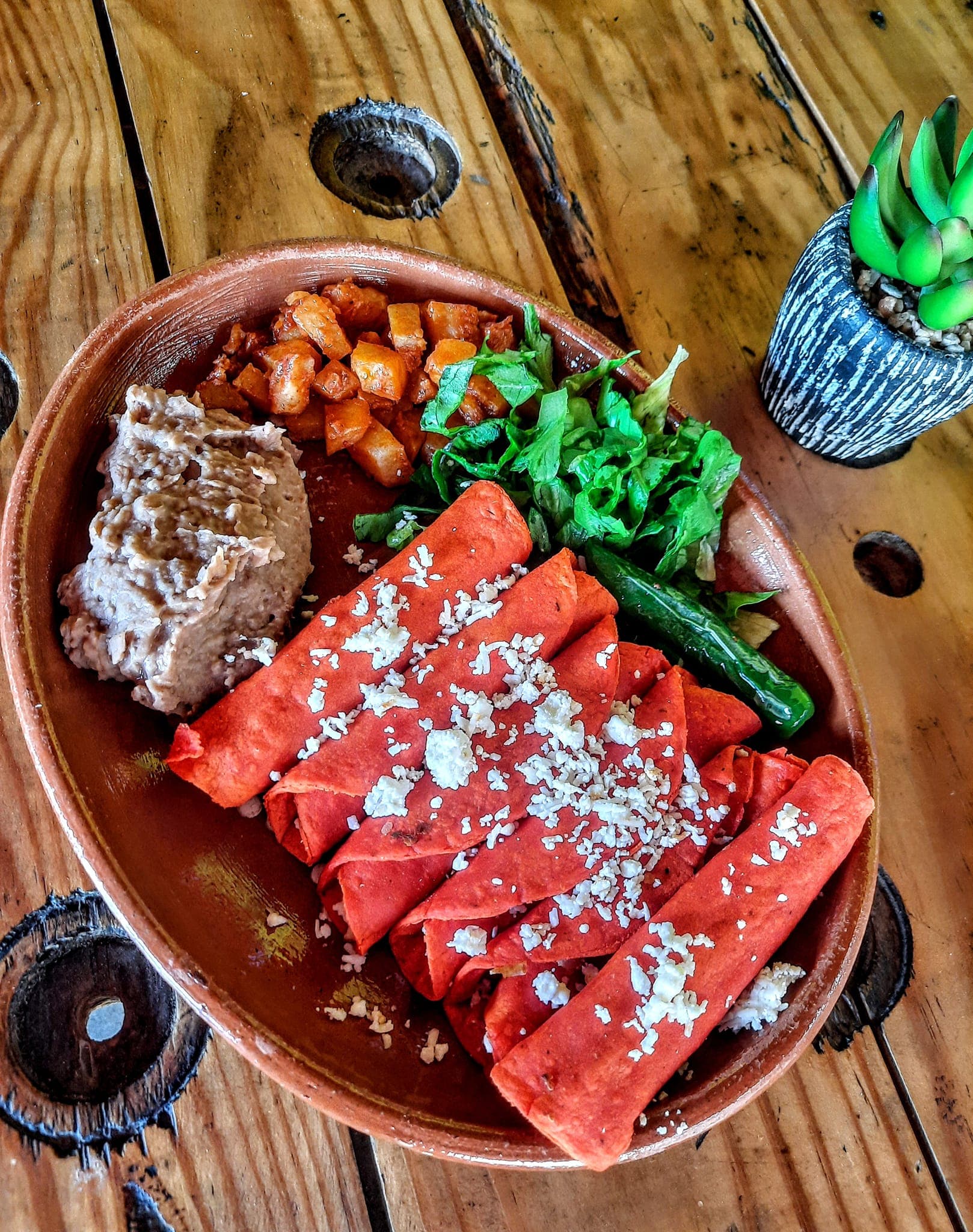 Enchiladas Naturales