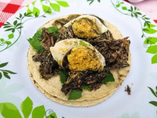 Taco de Relleno Negro