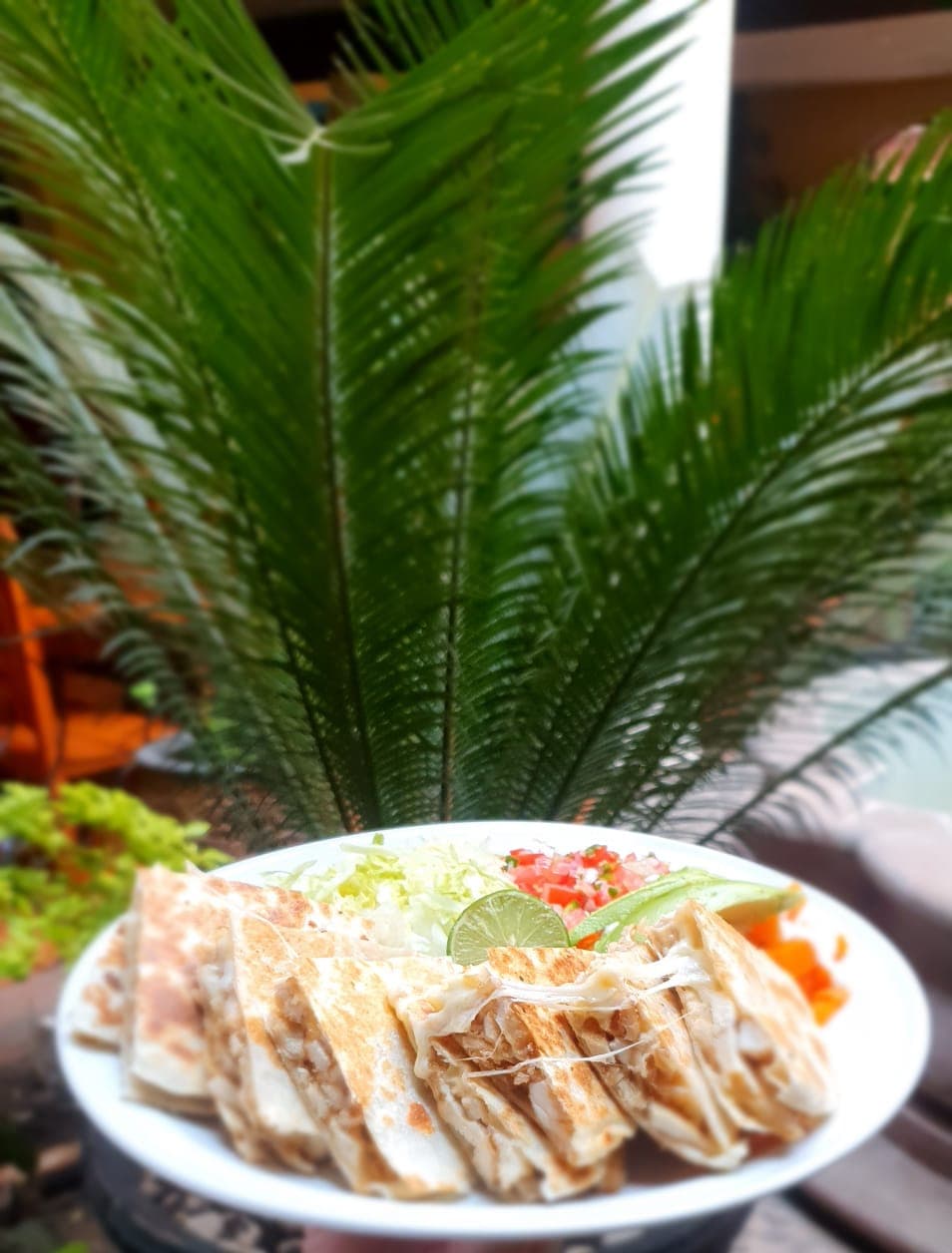 Sincronizada de Jamón