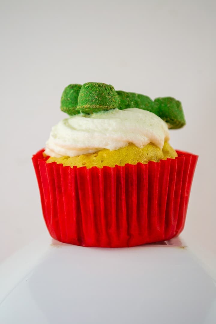 Cupcake para Perro