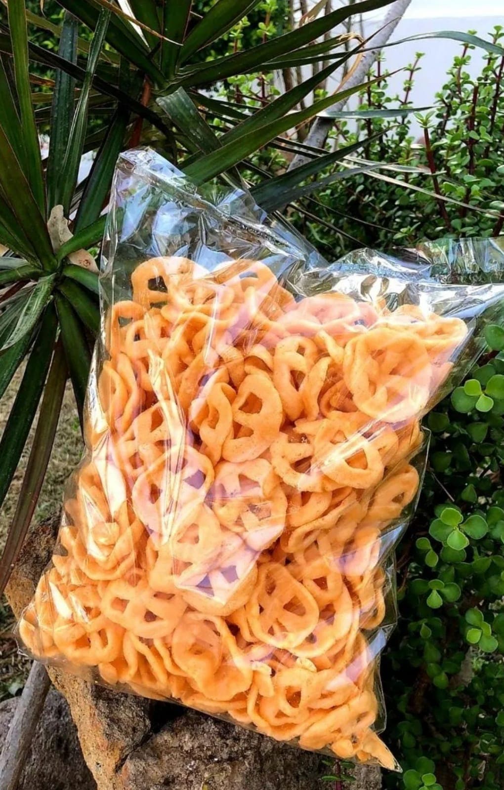Bolsa de Chicharones