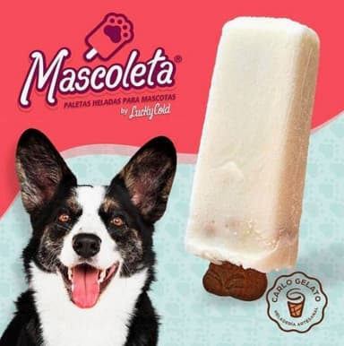 Mascoleta