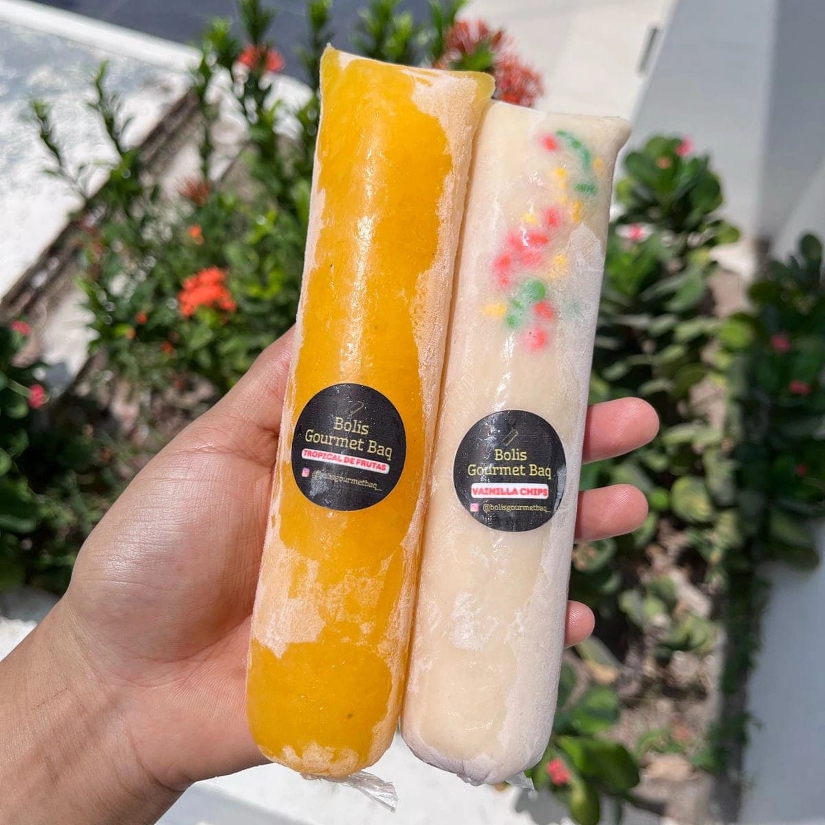 Bolihelado Vainilla Chips