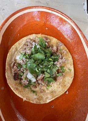 Tacos de Bistec