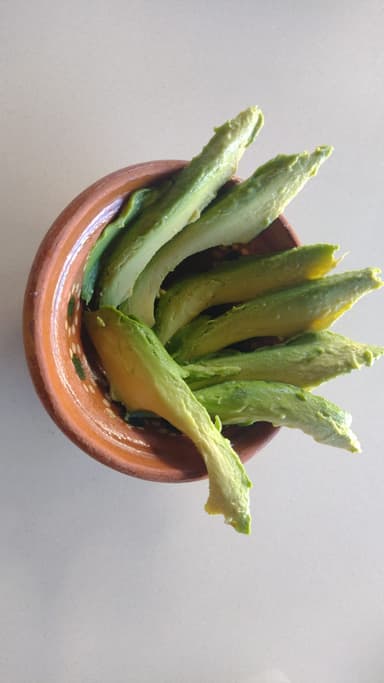 Orden de Aguacate