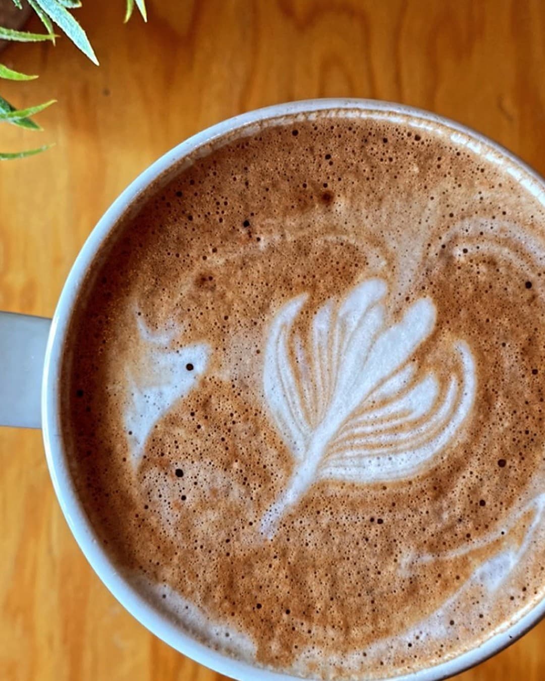 Mocha Menta