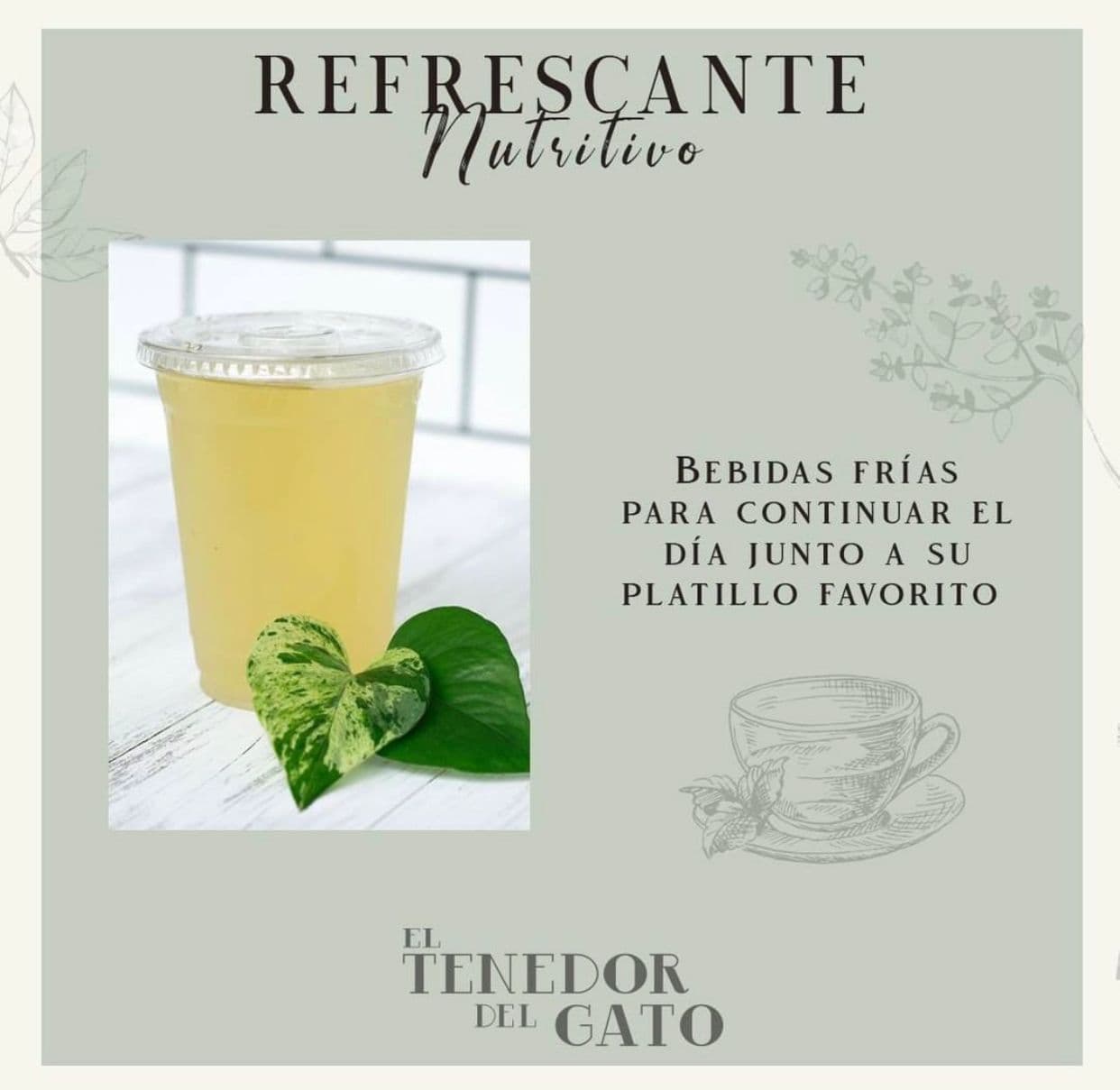 Jugo de Naranja Natural (12 Onzas)