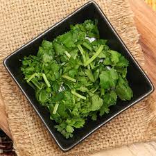 Cilantro