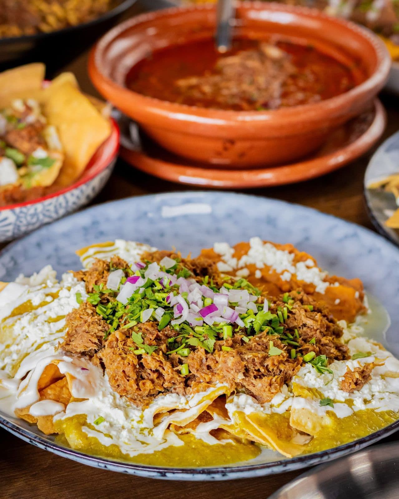 Enchiladas con Birria