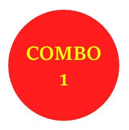 Combo 1 套餐
